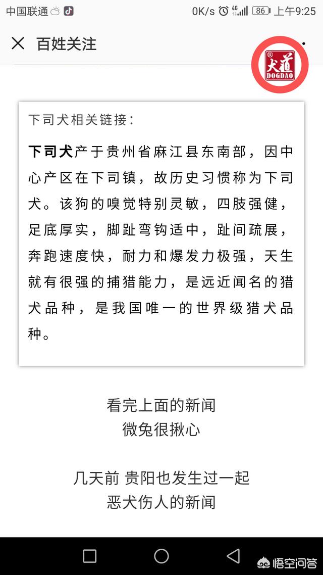 藏獒咬死女童gif:一万多的猫猫咬了小孩被打死，女孩医药费四千多，赔偿费谁赔谁？