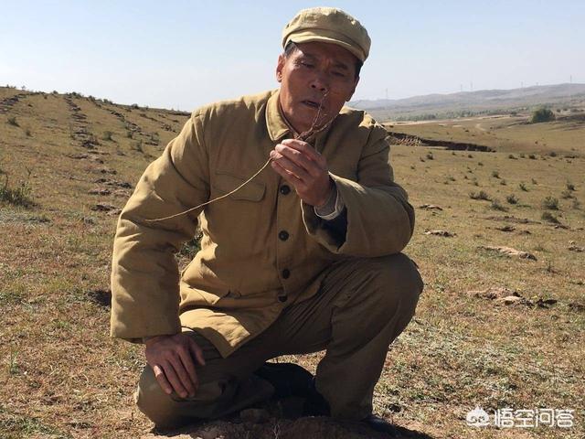 赵恒煊:如何评价赵恒煊在央视热播剧《最美的青春》中饰演的角色于正来