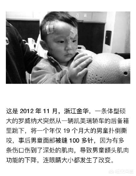 长春当猫爱上狗:你觉得喜欢猫的人会讨厌狗吗？