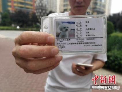 长春当猫爱上狗:你觉得喜欢猫的人会讨厌狗吗？
