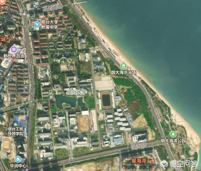 头条问答 - 山东烟台大学怎么样?是所什么水平的大学呢?