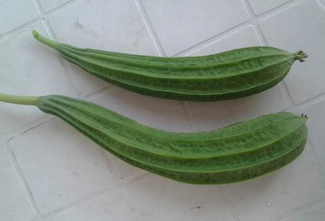 八菱瓜需要打顶吗?-图6