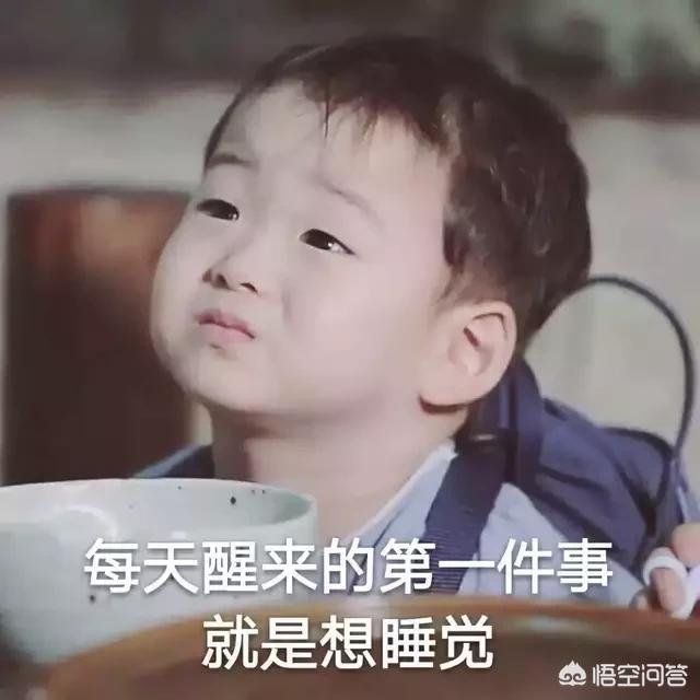 你心目中最好看的电视剧前十名是哪几部？
