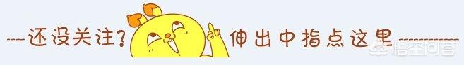 讲真的歌词:摩登兄弟是靠翻唱这首《讲真的》火起来的吗