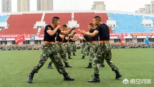 战斗力:战斗机图片 单个军人的战斗力有多强？