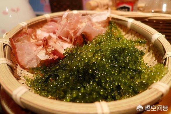 赛美容葡萄特点:冲绳特产“海葡萄”究竟是什么？怎么做好吃？