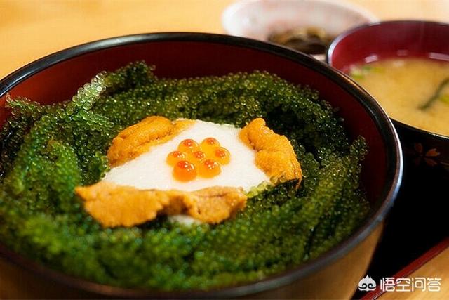 赛美容葡萄特点:冲绳特产“海葡萄”究竟是什么？怎么做好吃？