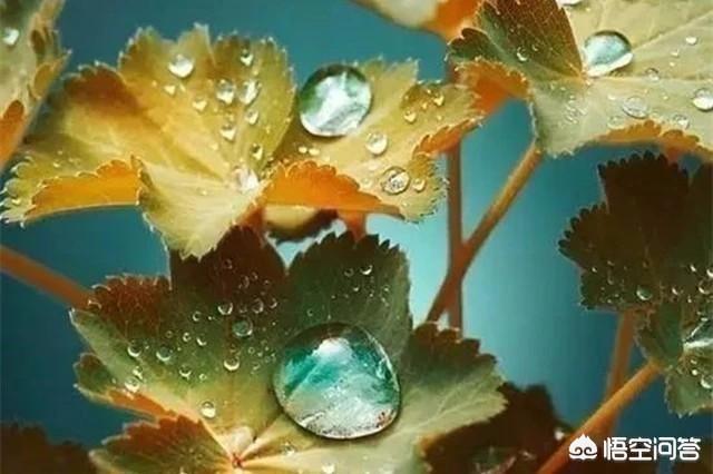 雨天<a href=https://maguai.com/list/256-0-0.html target=_blank class=infotextkey>朋友圈</a>说说心情短语:有哪些关于下雨的图片和下雨天的心情说说？