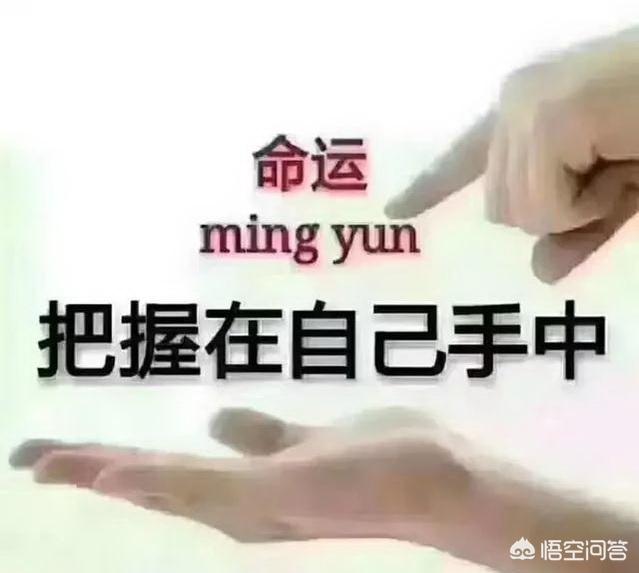 工作努力奋斗的句子有哪些？