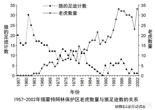 西伯利亚狼 电影:普京生日，为啥要选择在西伯利亚荒野？