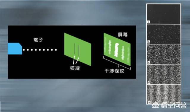 观察者效应:请结合实际，谈下怎样理解“观察者影响被观察者”这句话的含义？