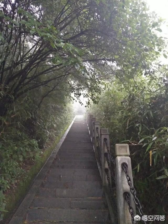 哲学三巨头,人类三大哲学终极问题是什么？
