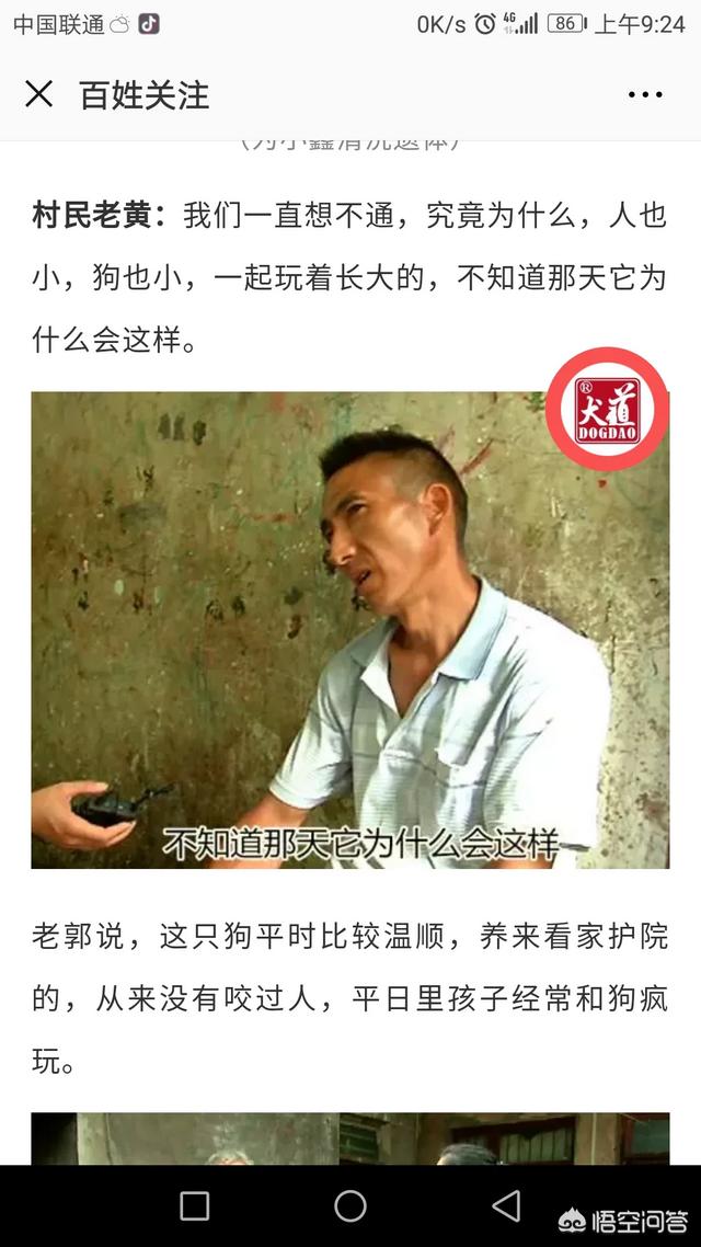 藏獒吃主人的视屏:养了5年的牧羊犬，把主人咬得血肉模糊，你怎么看？