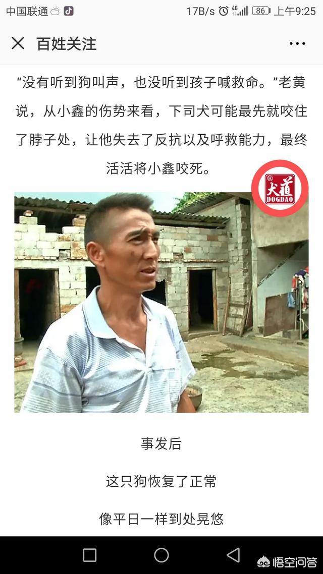 藏獒吃主人的视屏:养了5年的牧羊犬，把主人咬得血肉模糊，你怎么看？