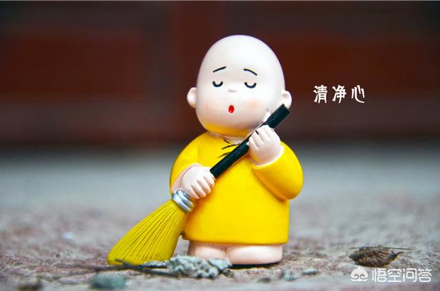 柳智宇蒋方舟:为什么走读学生比住校生成绩好？