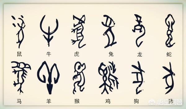 灵蹄犬的名字:成年猫的智商相当于人的几岁？ 灵缇犬图片