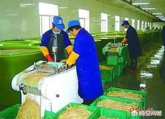 春天农庄akc:在农村办一个什么工厂比较好？ 春天农庄的说说