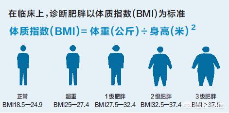 男性不育的原因,男性肥胖为什么影响不育?插图1 男性不育的原因,男性肥胖为什么影响不育?