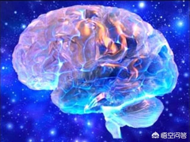 观察者效应:请结合实际，谈下怎样理解“观察者影响被观察者”这句话的含义？