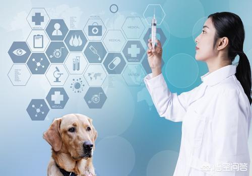 狂犬病症状:被狗咬了，没有打针，以后会不会得狂犬病？狂犬病有哪些症状？
