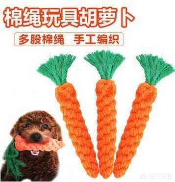 狗狗用品大全:有哪些结实的狗狗玩具类用品推荐吗？
