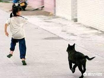 狗咬死人:狗咬了人，狗主人应受到什么处罚？有立法吗？