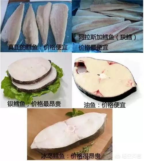 水鳕鱼到底是腔吻鳕还是棘鳞蛇鲭？