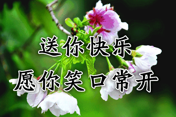 最信任的人出卖你该怎么办？