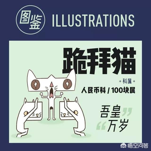 国美狗图片:天猫为什么是猫，而京东为什么会选择狗作为logo呢？ 国美狗图片价钱