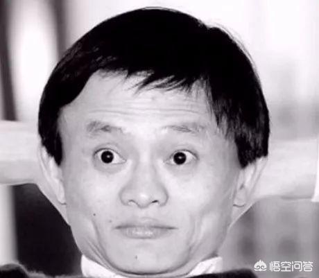 国美狗图片:天猫为什么是猫，而京东为什么会选择狗作为logo呢？ 国美狗图片价钱