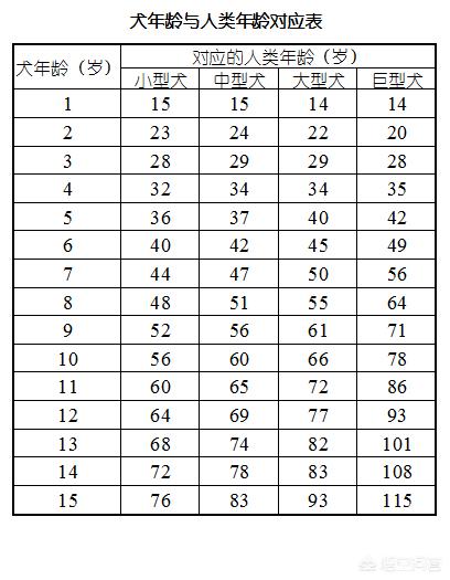 一只狗的平均寿命是多少年:有什么狗狗是比较常见的，它们的寿命有多长呢？