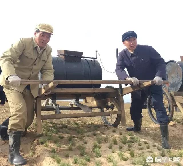 琼瑶剧有哪些电视剧，有哪些感人好看的电视剧可以推荐