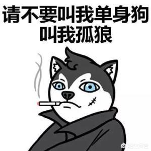 单身狗的图片:单身的人，独自旅游带上什么装备才能拍出好的照片？