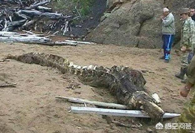 天山山脉灵异事件:昆仑山到底藏有什么神秘的东西？