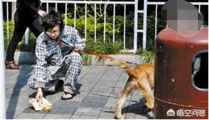 怎样判断用不用打狂犬疫苗图片:你家的狗注射了狂犬疫苗吗？如果不注射，有什么潜在危险？