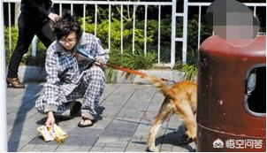 狗狂犬疫苗副作用:狗狗太小打狂犬疫苗对狗狗有什么伤害？