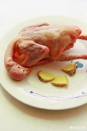 乳鸽汤用什么煲汤最好喝，鸽子汤怎么炖最营养老人吃
