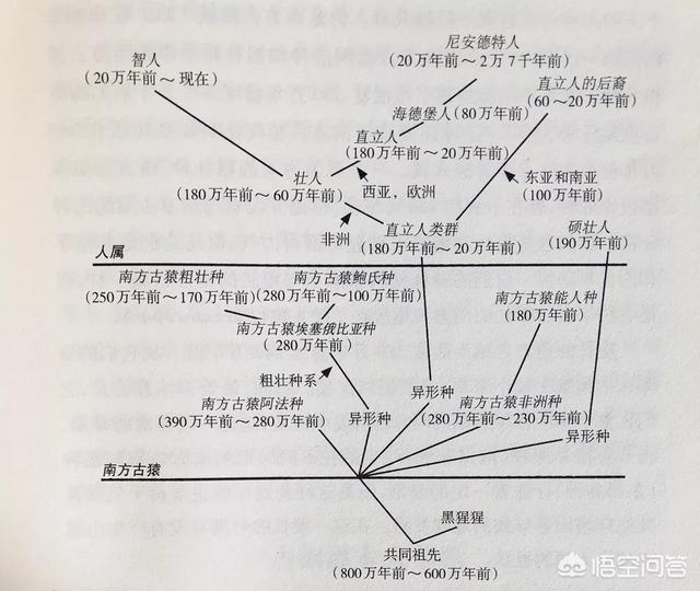 中国历史第一页是从元谋人遗址翻开的吗？为什么？