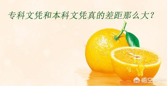 专科生升本还是去工作好？你是怎么看待的？