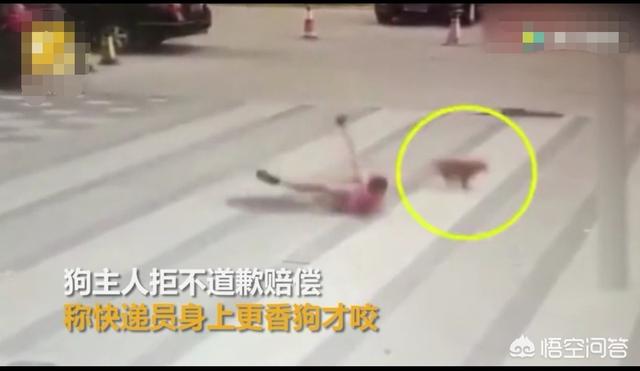 2019年狗咬人事件最新:河南鹤壁一儿童被狗活活咬死，涉案犬主人被刑拘，你怎么看？