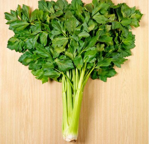 芹菜叶子到底能不能吃，芹菜的叶子有什么营养价值