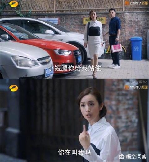 林依晨王阳明:《遥远的救世主》中，王明阳和芮小丹的谈话谁来仔细解读下？