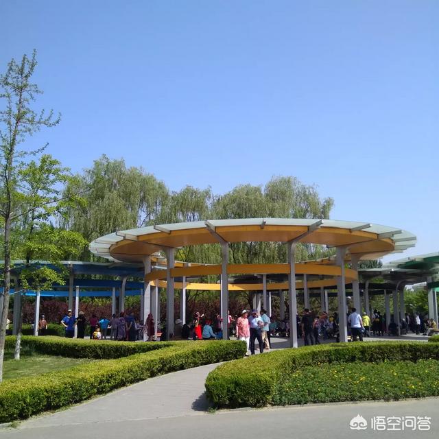 通州大运河森林公园开门吗:北京最值得六岁小朋友去的公园，有哪些好的推荐吗？