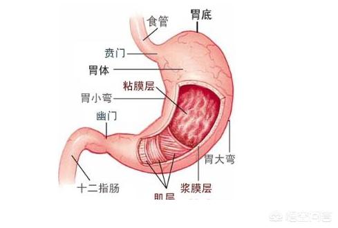 头条问答 - 胃窦炎转癌的几率大吗,需要注意什么?(1个回答)