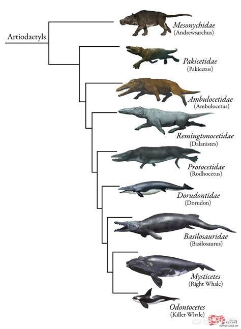 如何看待"进化论"?