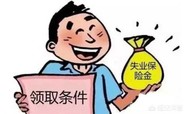 失业金是一生只能领取24个月的，还是每次最多领取24个月的？插图4