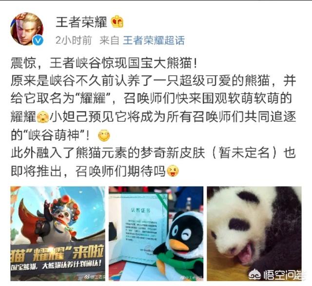 王者荣耀官方确定推出融入熊猫元素的梦琪三周年限定皮肤,梦琪是否将有望加强？