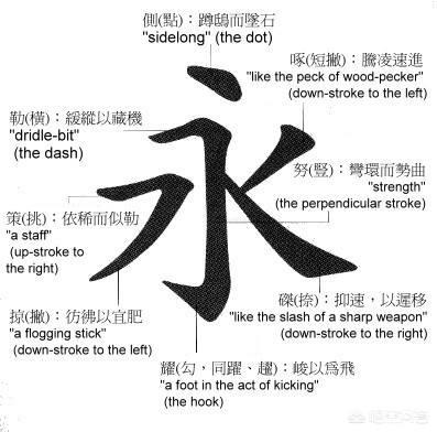 头条问答 书法中常用汉字 永 来练习笔法 汉字 永 的造字意图是什么 翰墨书道的回答 0赞