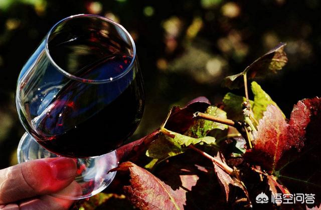 阿玛罗尼红酒价格，刚开始喝葡萄酒如何选择？
