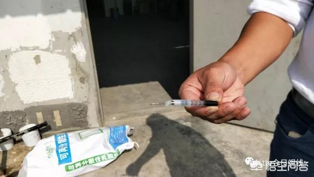 偷狗贼怎么打狗:农村冬天偷狗贼很猖狂，该如何避免自家狗被偷呢？